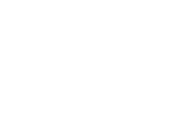 Nikola Colors